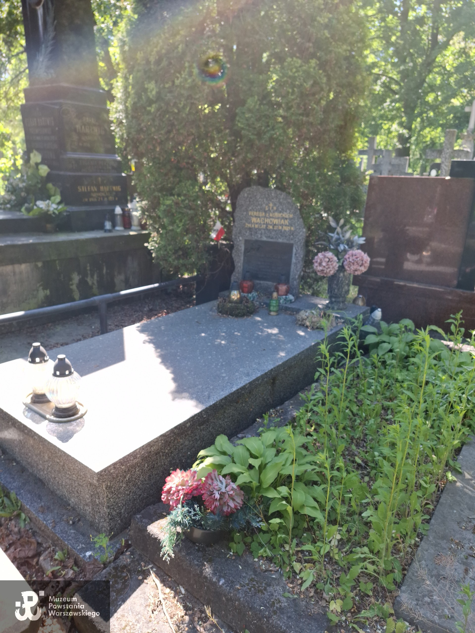 Źródło: VIII Liceum Ogólnokształcące im. Władysława IV w Warszawie.