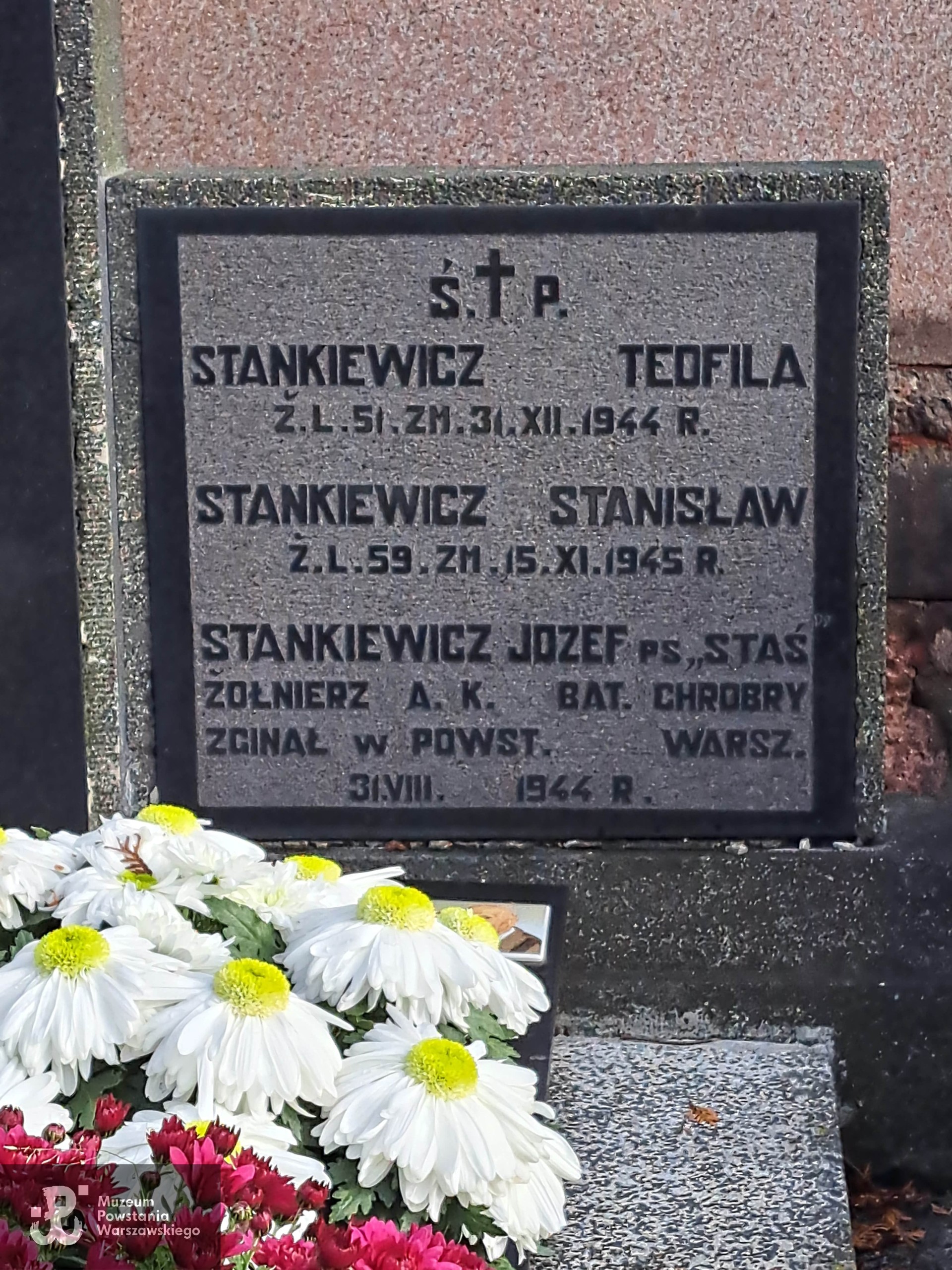 Źródło: Agnieszka Nowak.