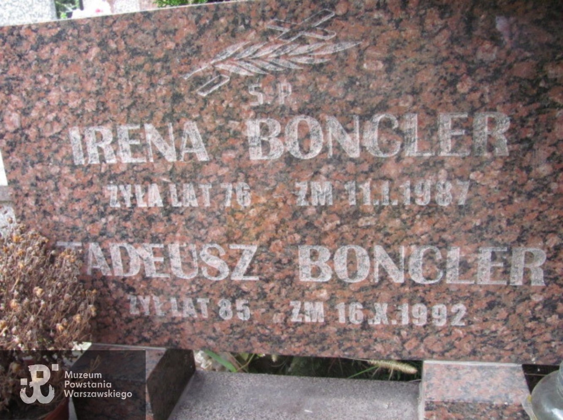 Źródło: https://warszawawlochy.grobonet.com/grobonet/start.php?id=detale&idg=14035 [dostęp: 03.06.2025].