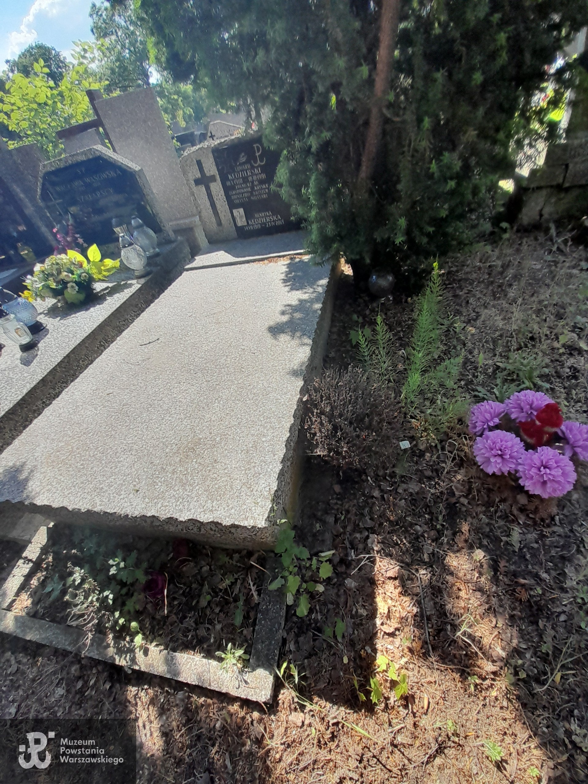 Źródło: Zespół Szkół nr 14 w Warszawie.