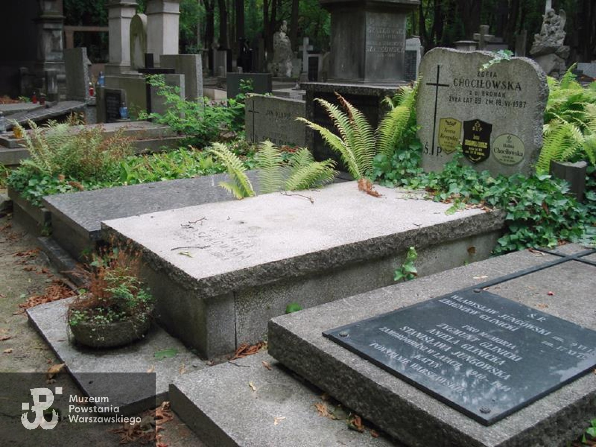 Źródło: https://cmentarze.um.warszawa.pl/pomnik.aspx?pom_id=34931 [dostęp: 02.09.2025].