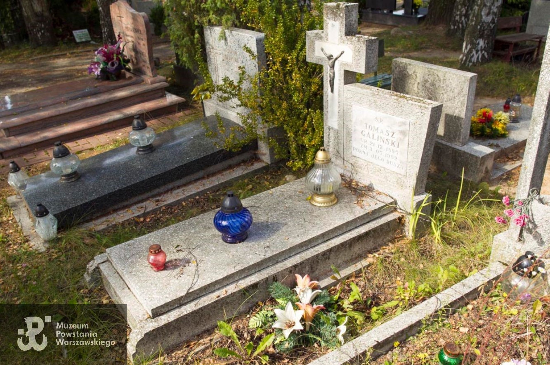 Źródło: https://msipmo.olsztyn.eu/zck/?gpmap=gp0&bbox=7434323.558110266,5945574.195780104,7497891.41857932,5975986.523271427&utm_source=iMapClient&utm_medium=startPanel&utm_campaign=MSIPMOZCK2016 [dostęp: 03.06.2025].