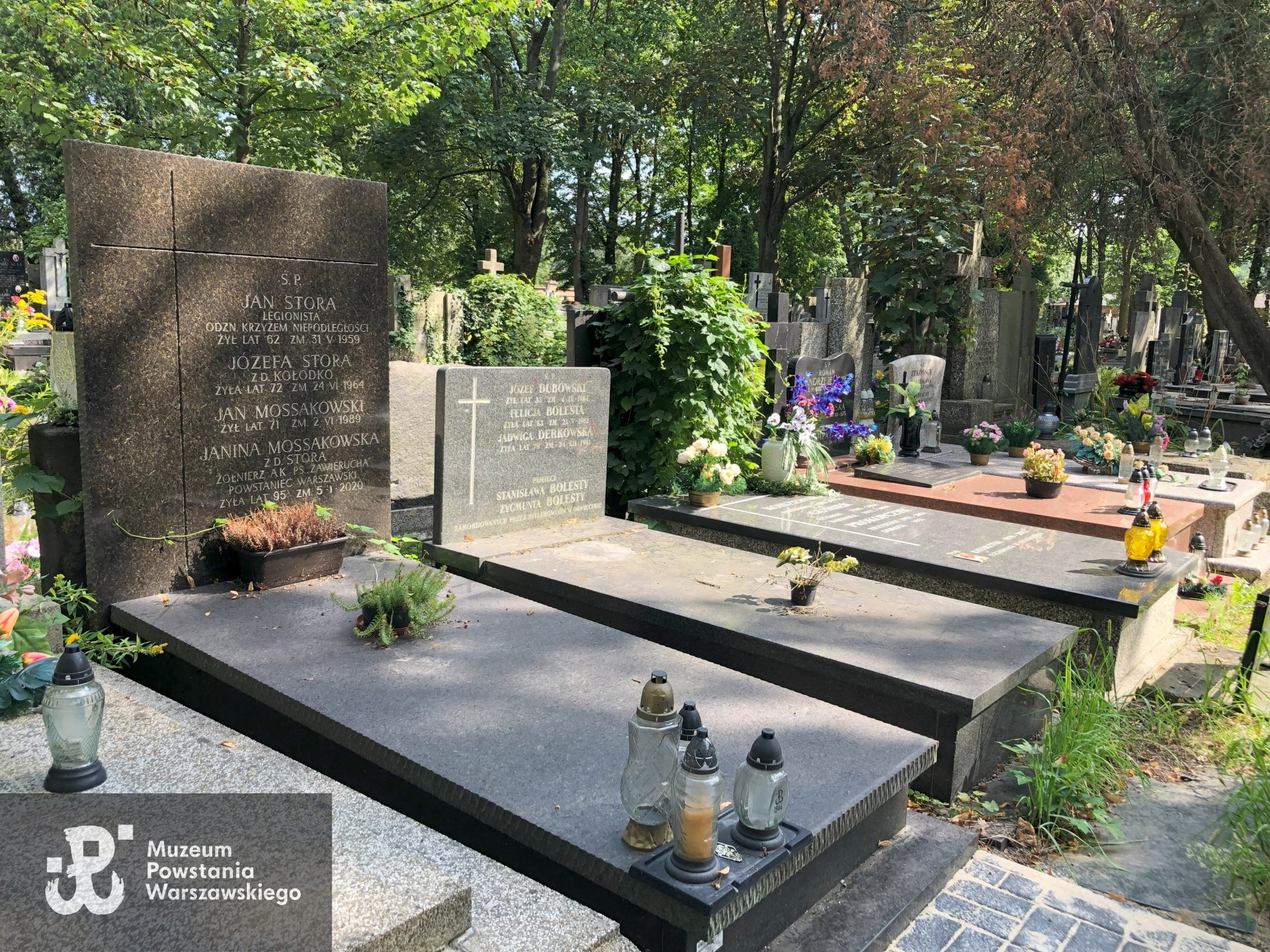 Źródło: Dorota Kotowska.