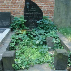 Źródło: https://cmentarze.um.warszawa.pl/pomnik.aspx?pom_id=44849 [dostęp: 10.09.2025].