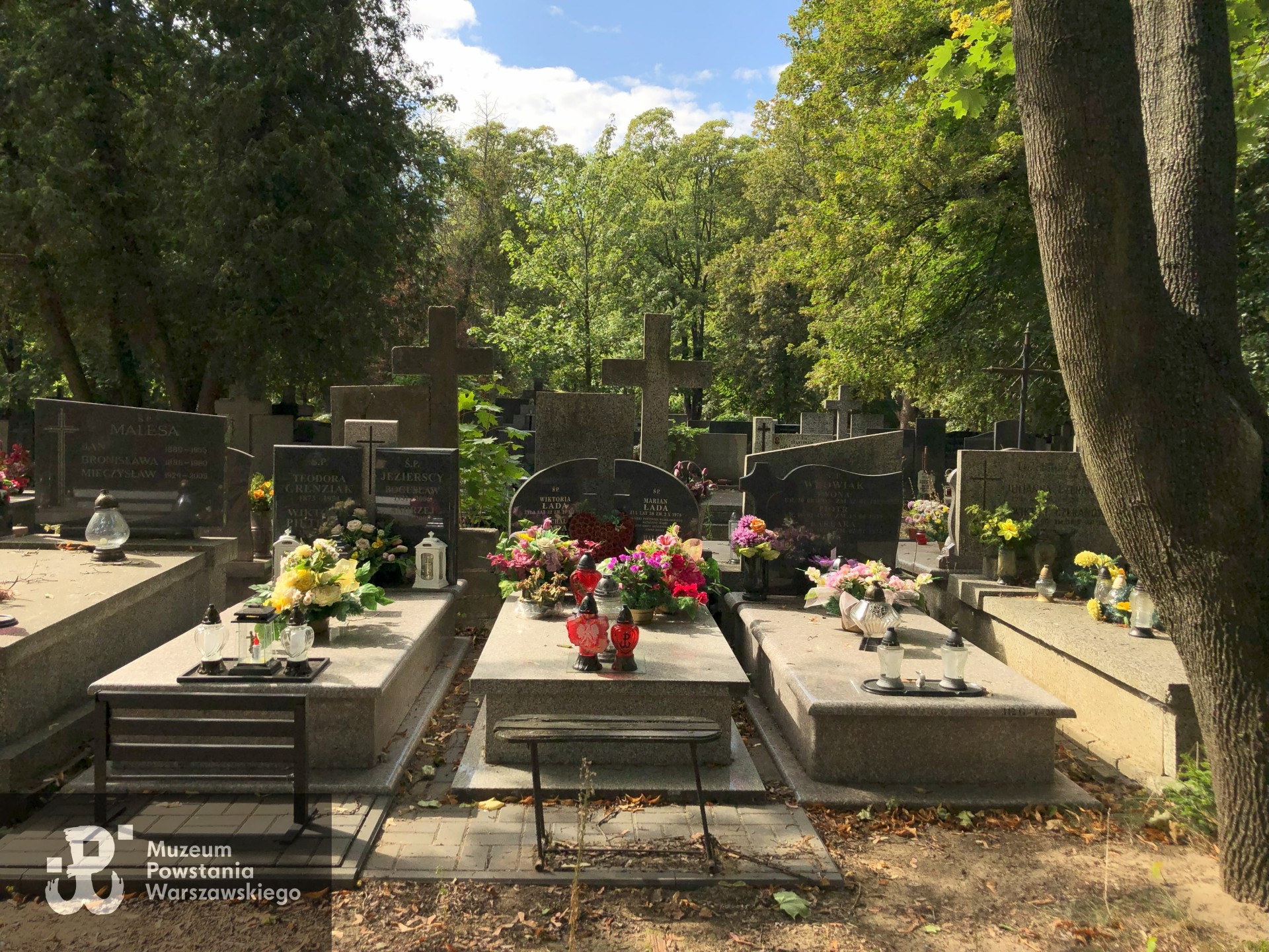 Źródło: Dorota Kotowska.