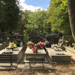 Źródło: Dorota Kotowska.