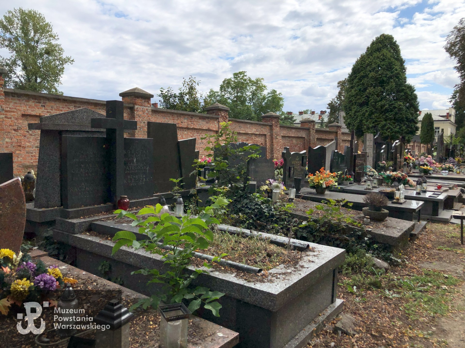 Źródło: Dorota Kotowska.