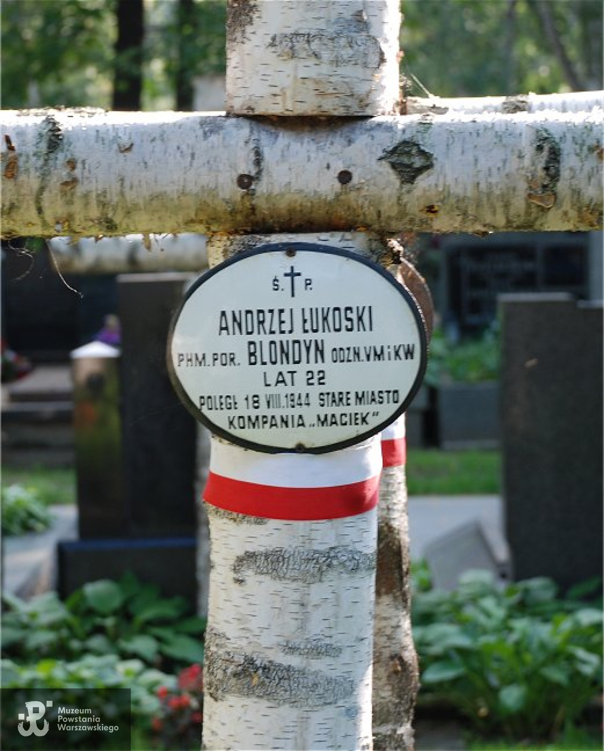 Źródło: https://pl.wikipedia.org/wiki/Andrzej_%C5%81ukoski [dostęp: 10.04.2025].