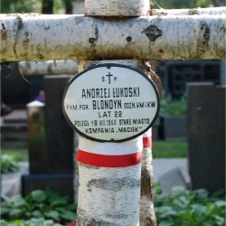 Źródło: https://pl.wikipedia.org/wiki/Andrzej_%C5%81ukoski [dostęp: 10.04.2025].
