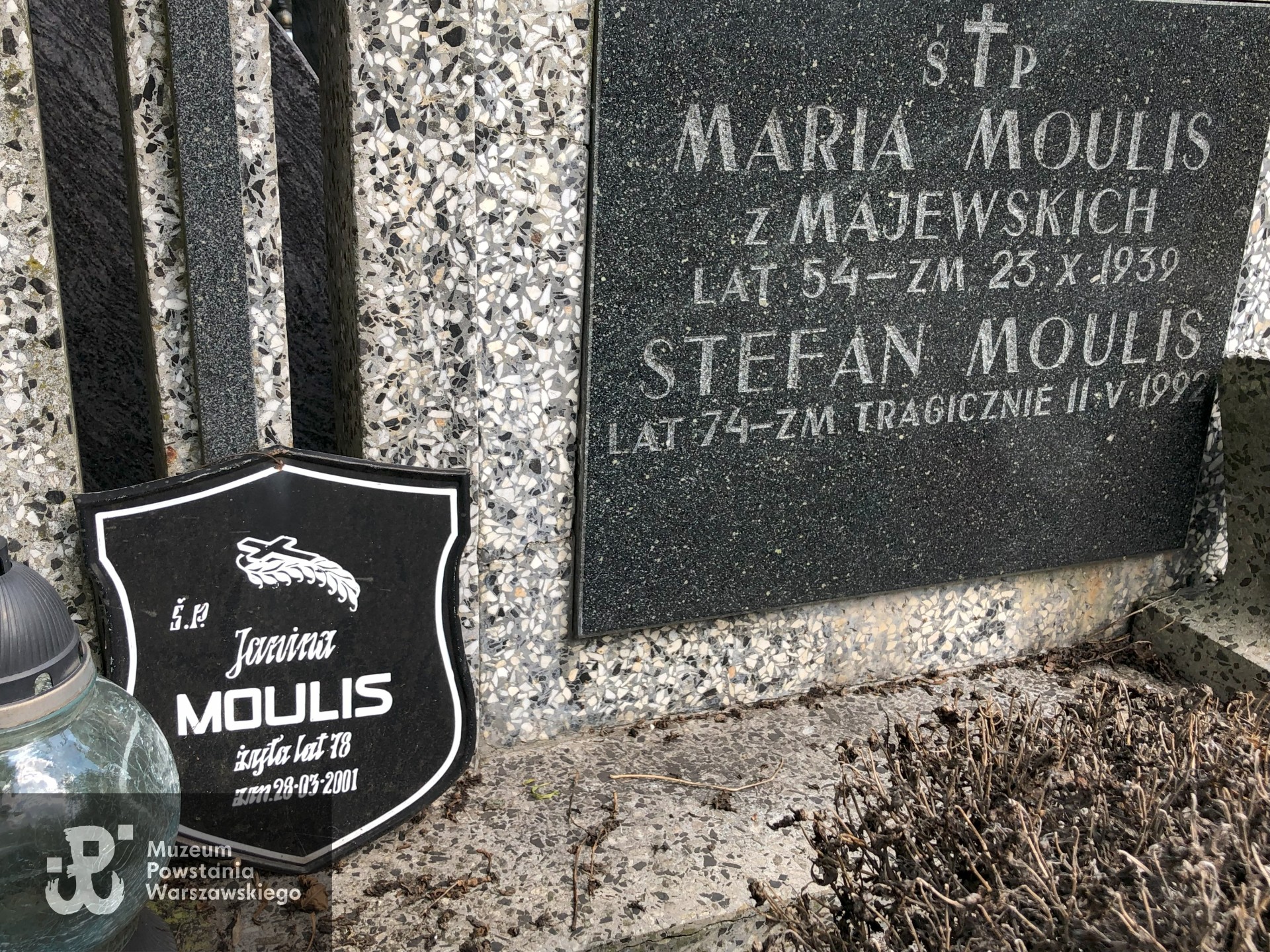 Źródło: Dorota Kotowska.