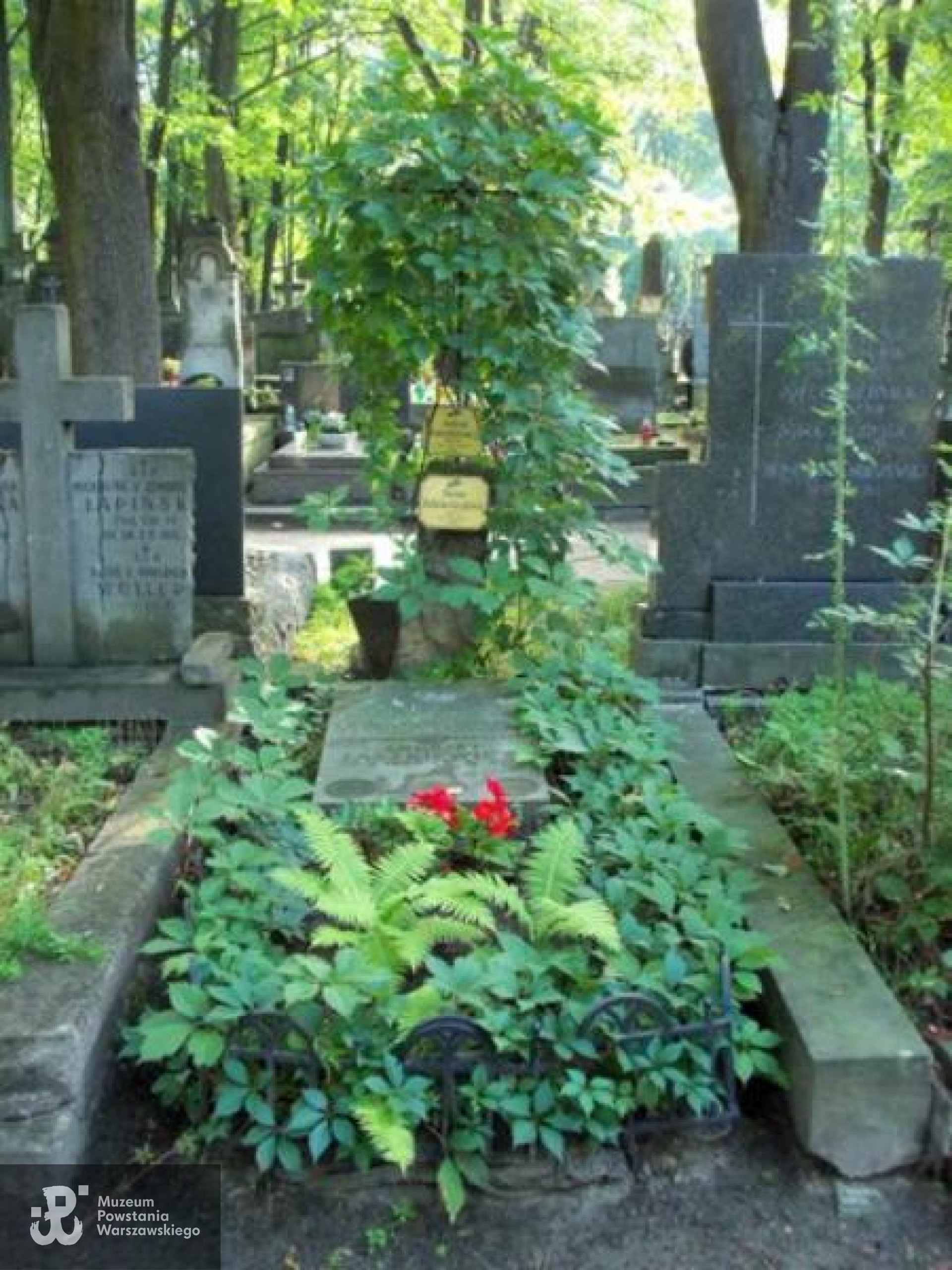 Źródło: https://cmentarze.um.warszawa.pl/pomnik.aspx?pom_id=27884 [dostęp: 29.07.2026].
