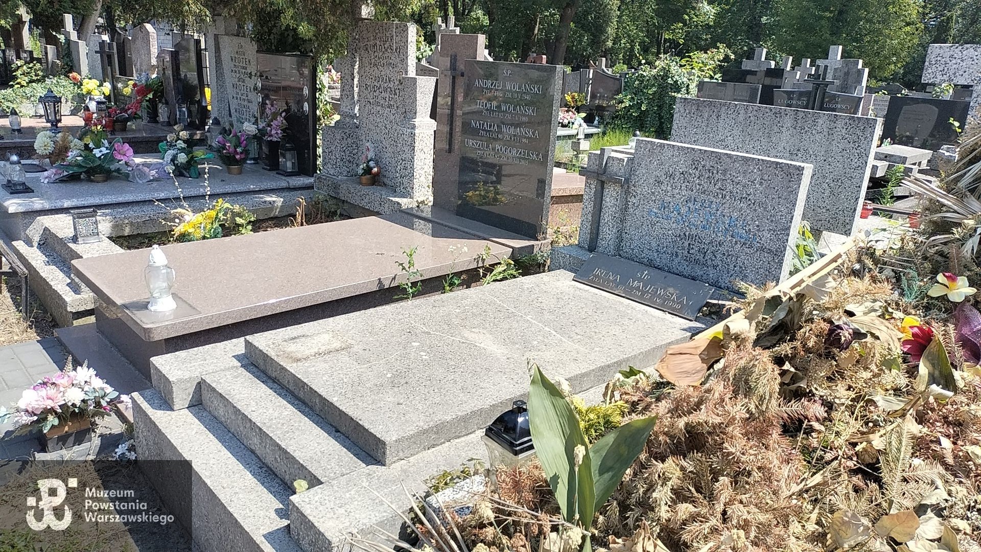 Źródło: Zespół Szkół nr 14 w Warszawie.
