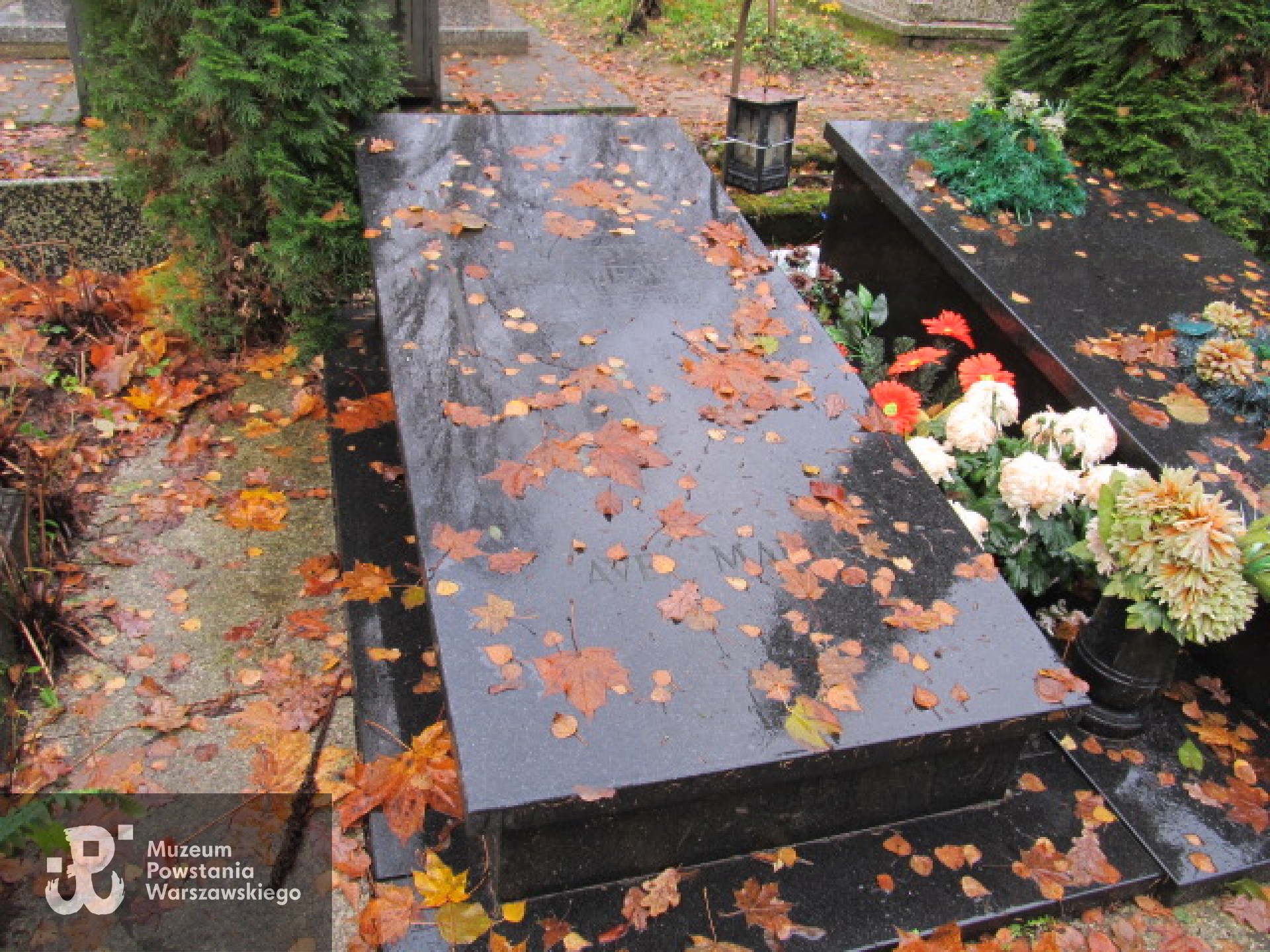 Źródło: https://slupsk.grobonet.com/grobonet/start.php?id=detale&idg=99450 [dostęp: 19.01.2026].