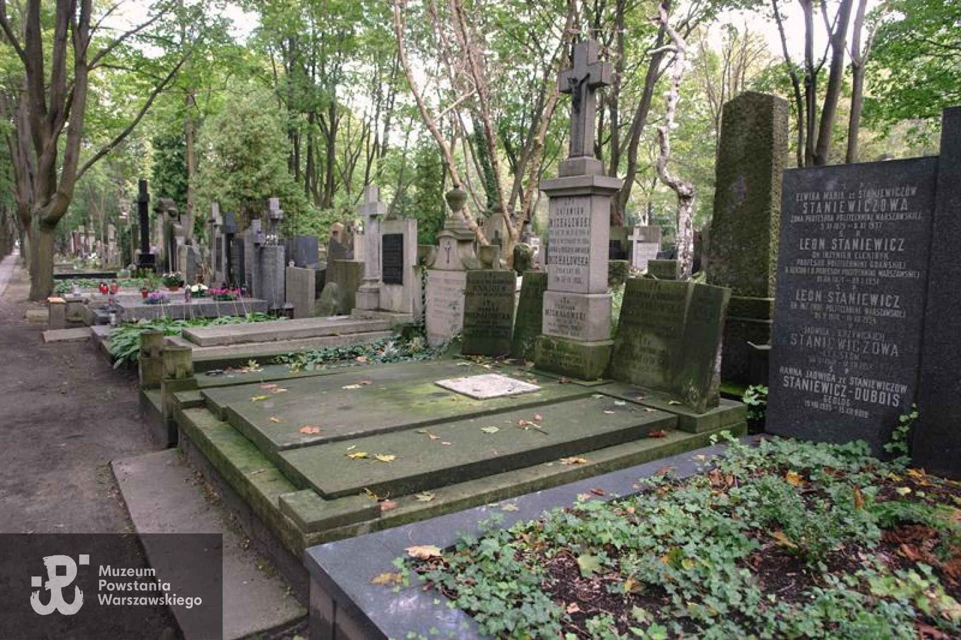 Grób symboliczny na Starych Powązkach w Warszawie. Źródło: https://cmentarze.um.warszawa.pl/pomnik.aspx?pom_id=46263 [dostęp: 06.02.2026].