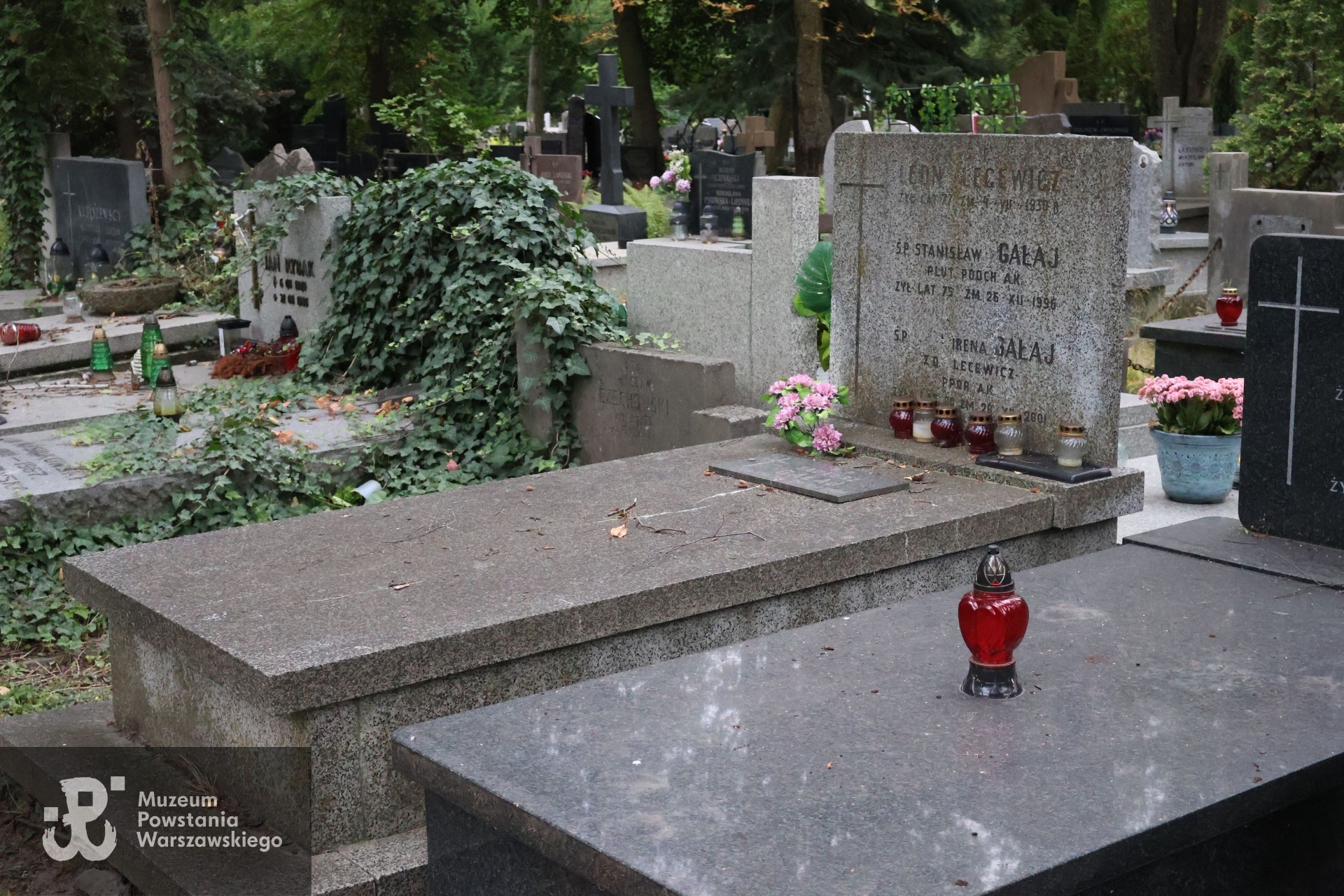 Źródło: https://www.findagrave.com/memorial/272806942/stanis%C5%82aw-franciszek-ga%C5%82aj [dostęp: 20.03.2026].