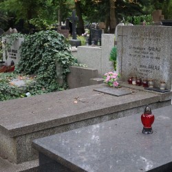 Źródło: https://www.findagrave.com/memorial/272806942/stanis%C5%82aw-franciszek-ga%C5%82aj [dostęp: 20.03.2026].