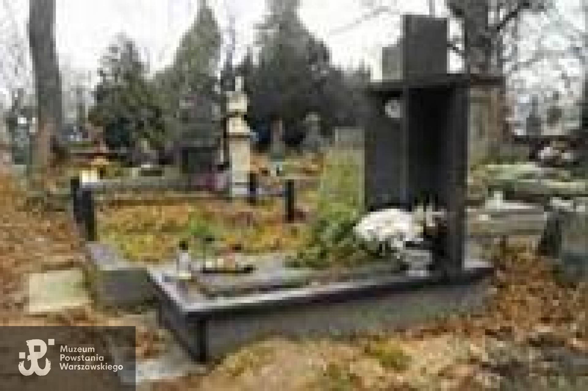 Źródło: https://cmentarze.um.warszawa.pl/pomnik.aspx?pom_id=14893 [dostęp: 10.04.2025].