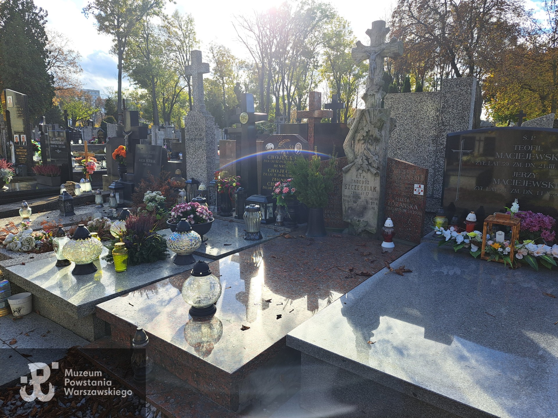 Źródło: Agnieszka Nowak.