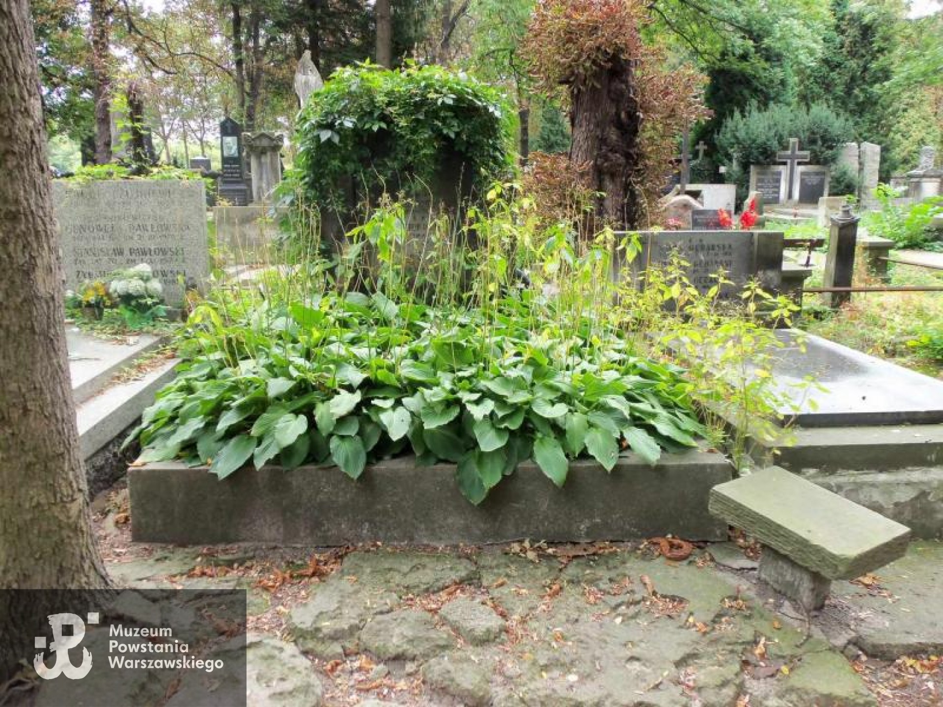 Źródło: https://cmentarze.um.warszawa.pl/pomnik.aspx?pom_id=14304 [dostęp: 09.06.2025].