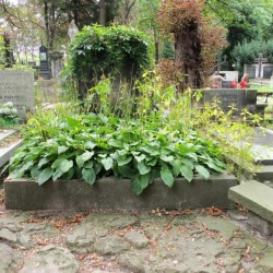 Źródło: https://cmentarze.um.warszawa.pl/pomnik.aspx?pom_id=14304 [dostęp: 09.06.2025].