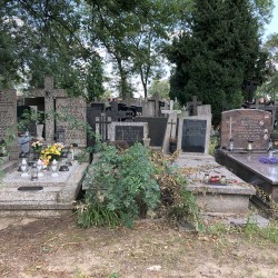 Źródło: Dorota Kotowska.