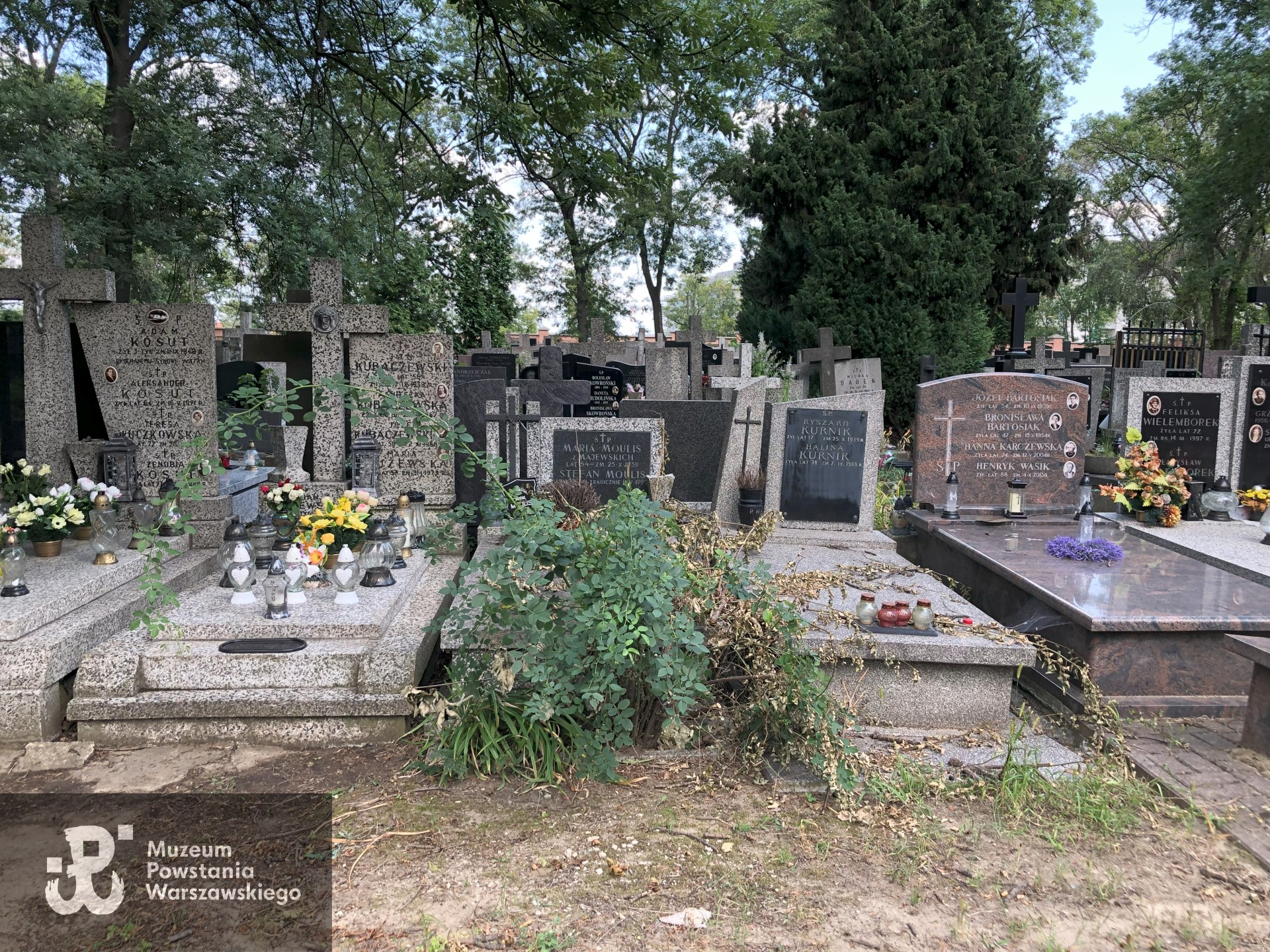 Źródło: Dorota Kotowska.