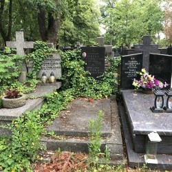 Źródło: Dorota Kotowska.