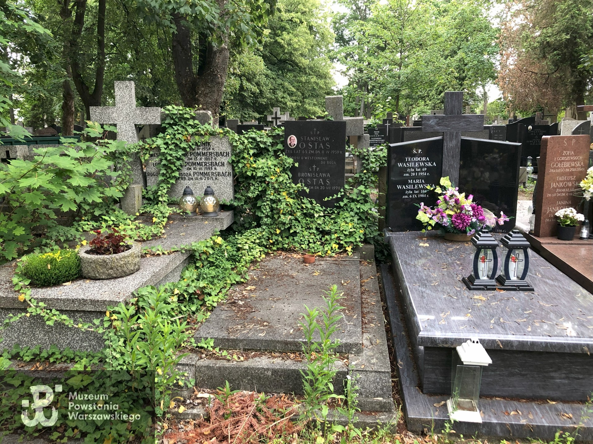 Źródło: Dorota Kotowska.