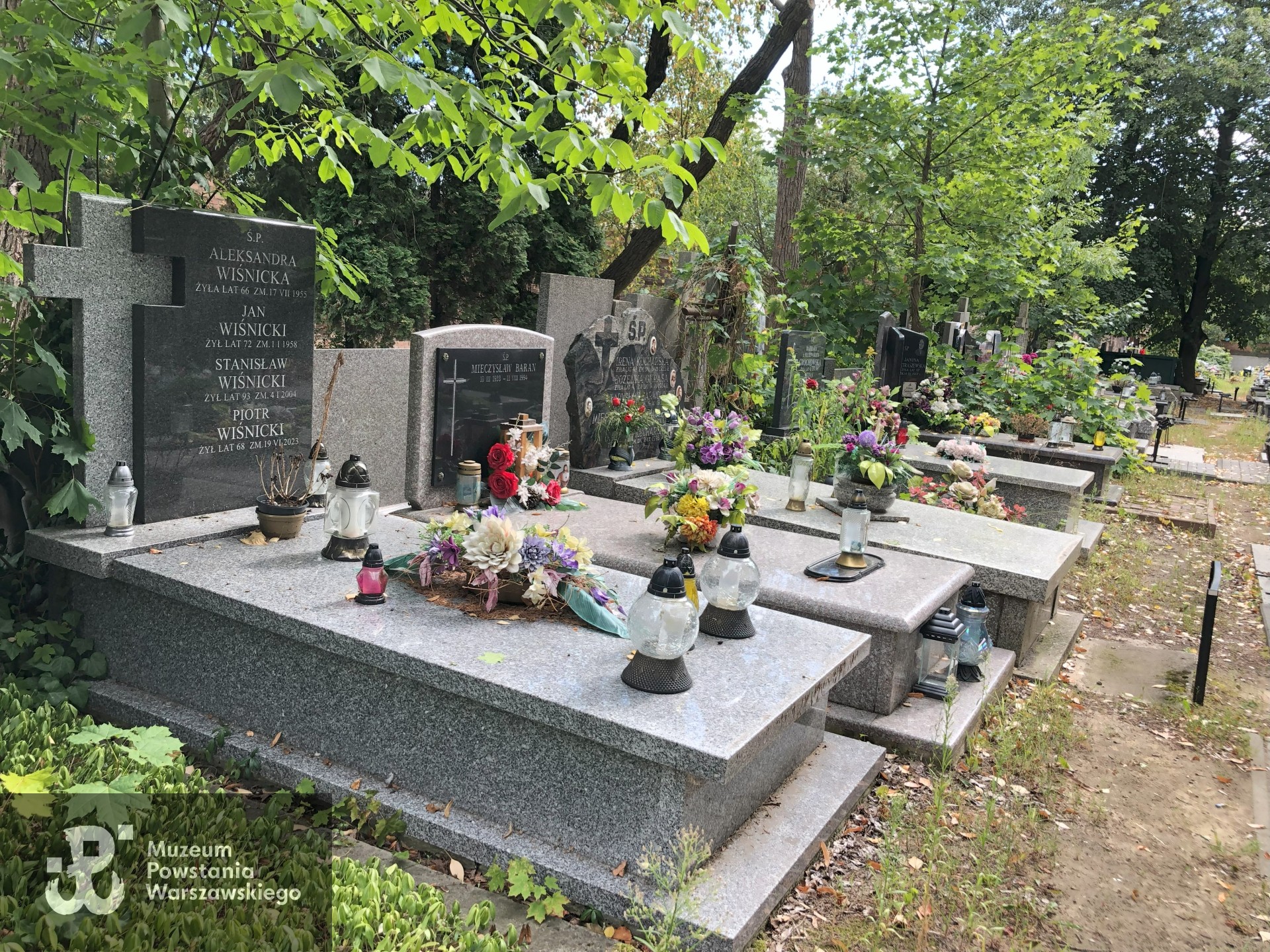 Źródło: Dorota Kotowska.