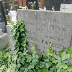 Źródło: https://grobonet.com/p/piaseczno-p/704/andrzej-findeisen-piaseczno [dostęp: 29.01.2026].