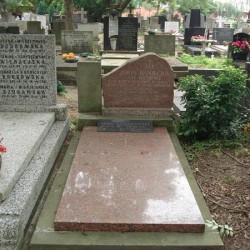 Źródło: https://cmentarze.um.warszawa.pl/pomnik.aspx?pom_id=44410 [dostęp: 09.05.2025].