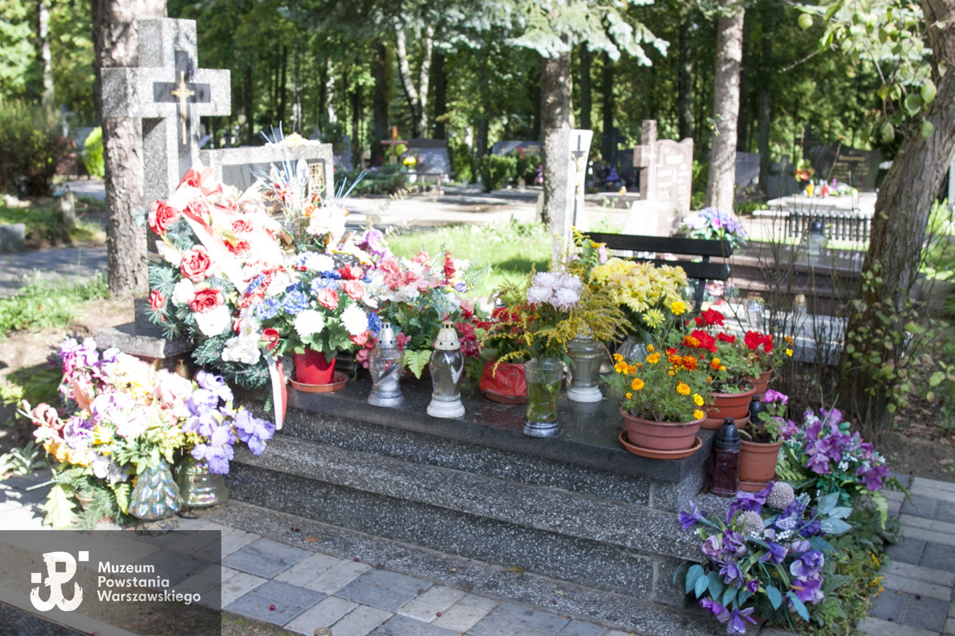 Źródło: https://msipmo.olsztyn.eu/zck/?gpmap=gp1&bbox=7466514.676309795,5962252.559117349,7468538.213690204,5963135.210882653&utm_source=iMapClient&utm_medium=startPanel&utm_campaign=MSIPMOZCK2016 [dostęp: 29.06.2026].