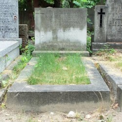 Źródło: https://cmentarze.um.warszawa.pl/pomnik.aspx?pom_id=32220 [dostęp: 12.11.2025].