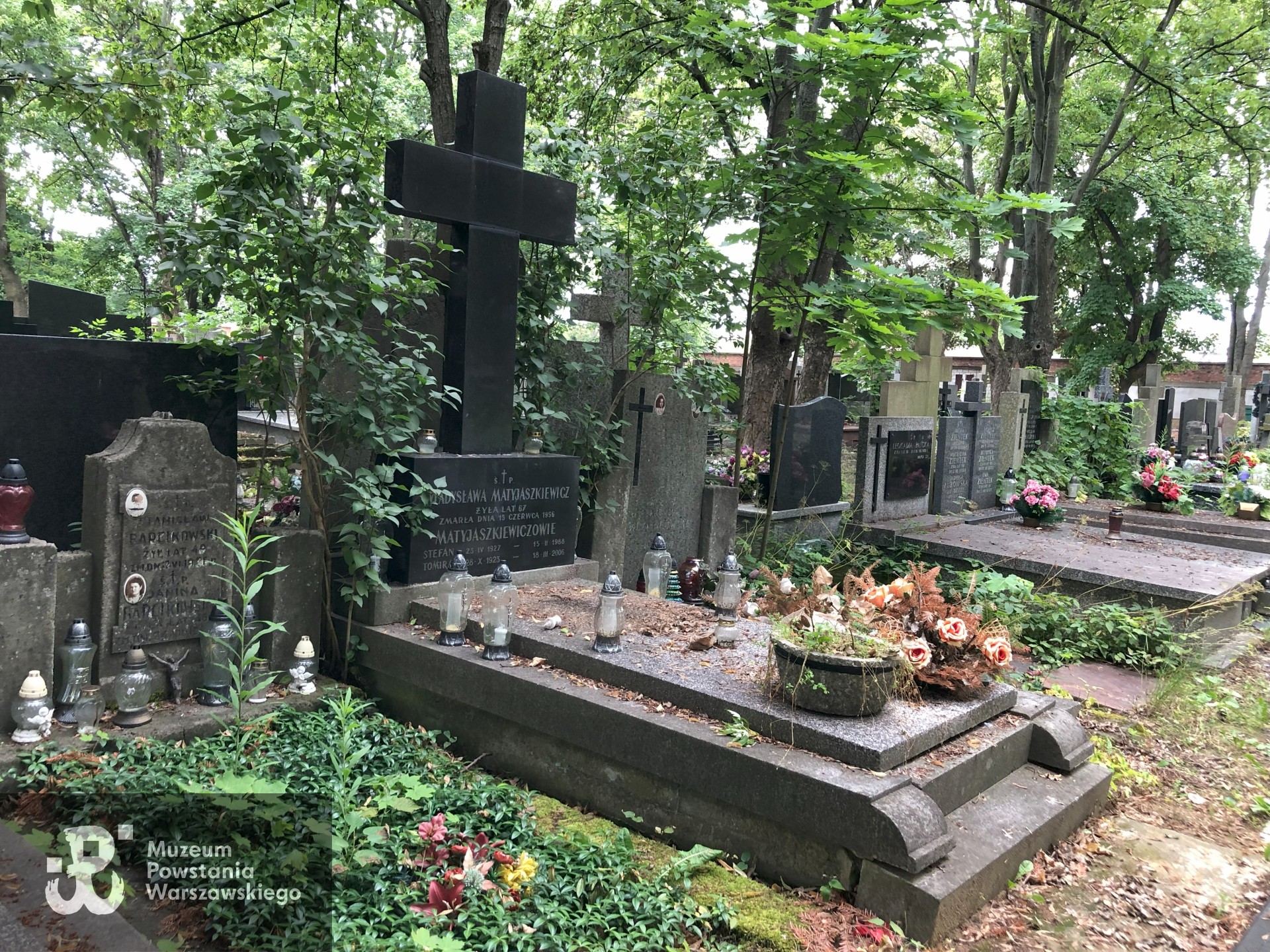 Źródło: Dorota Kotowska.