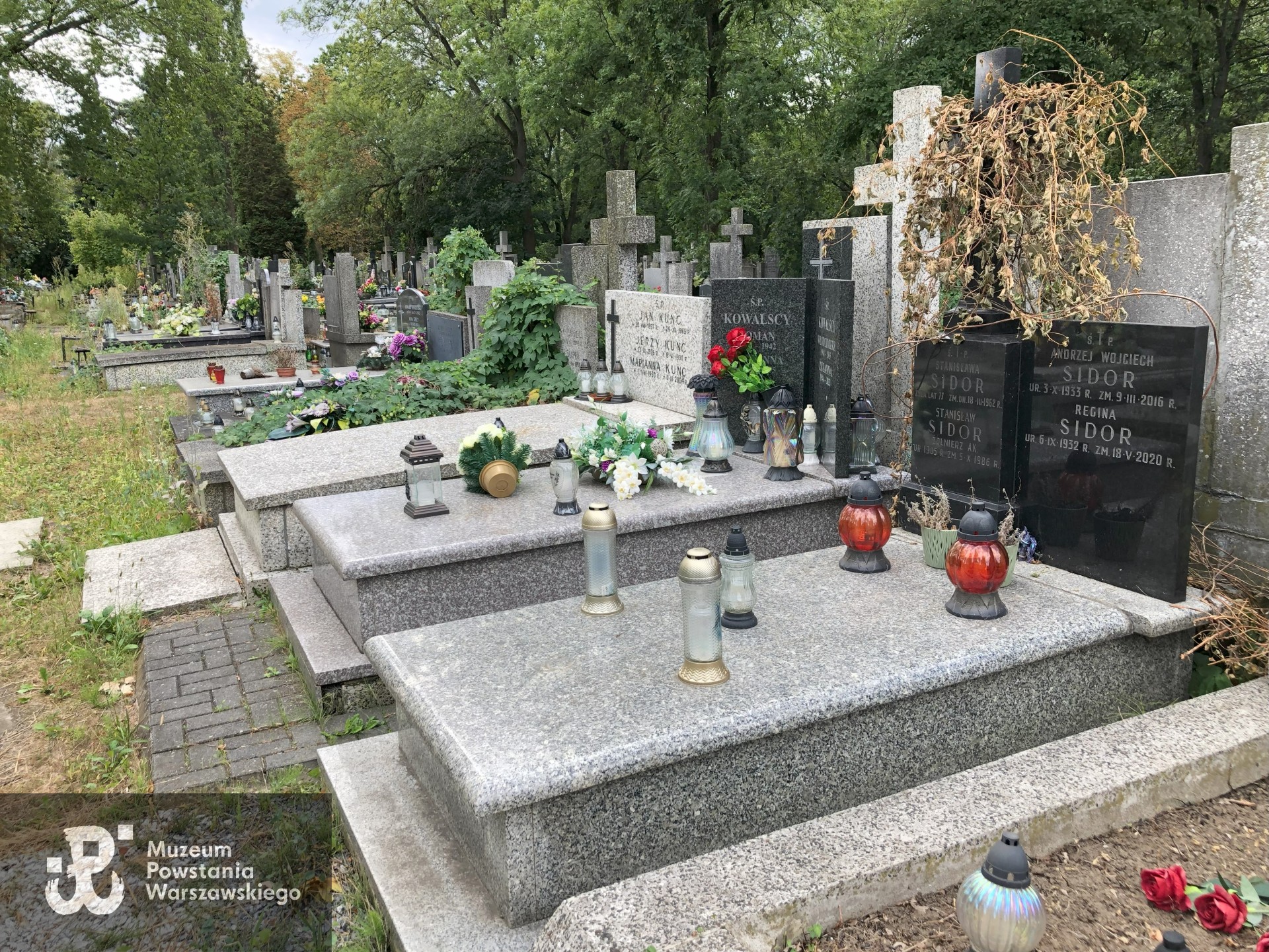 Źródło: Dorota Kotowska.