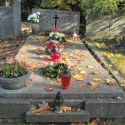 Źródło: https://wawamlynarska.grobonet.com/grobonet/start.php?id=detale&idg=3567&inni=0&cinki=0 [dostęp: 08.09.2025].