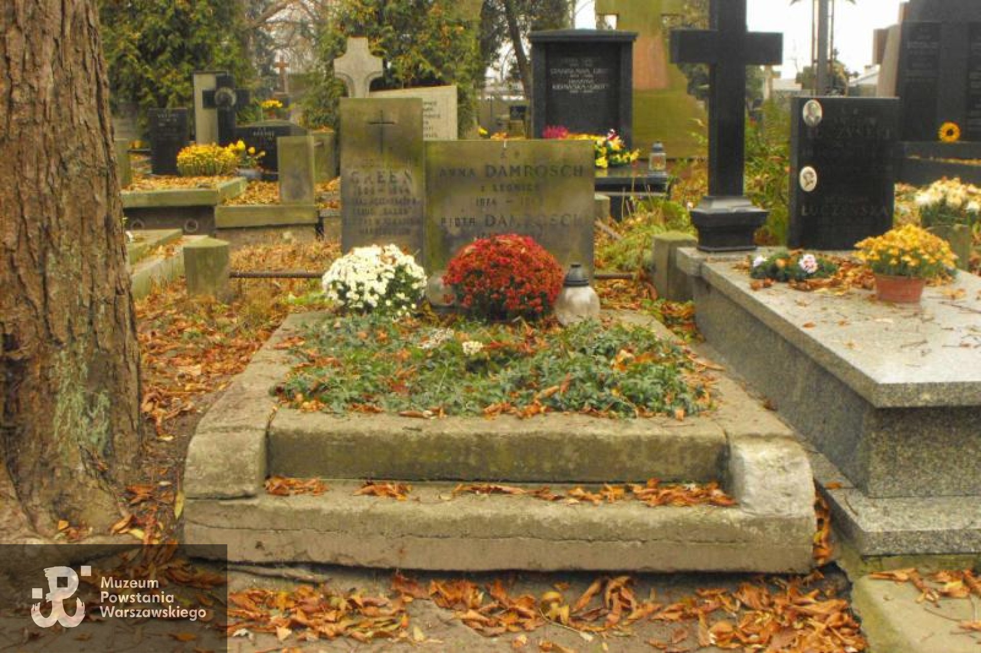 Źródło: https://cmentarze.um.warszawa.pl/pomnik.aspx?pom_id=14791 [dostęp: 31.03.2026].