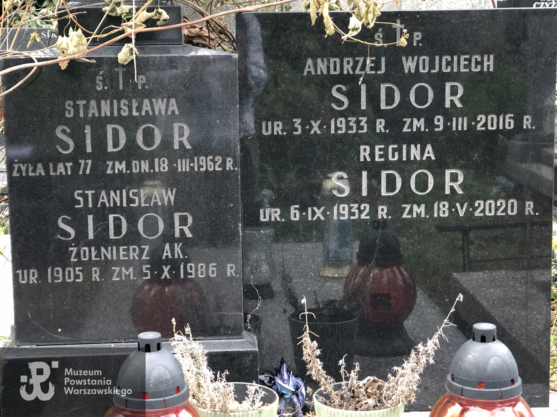 Źródło: Dorota Kotowska.