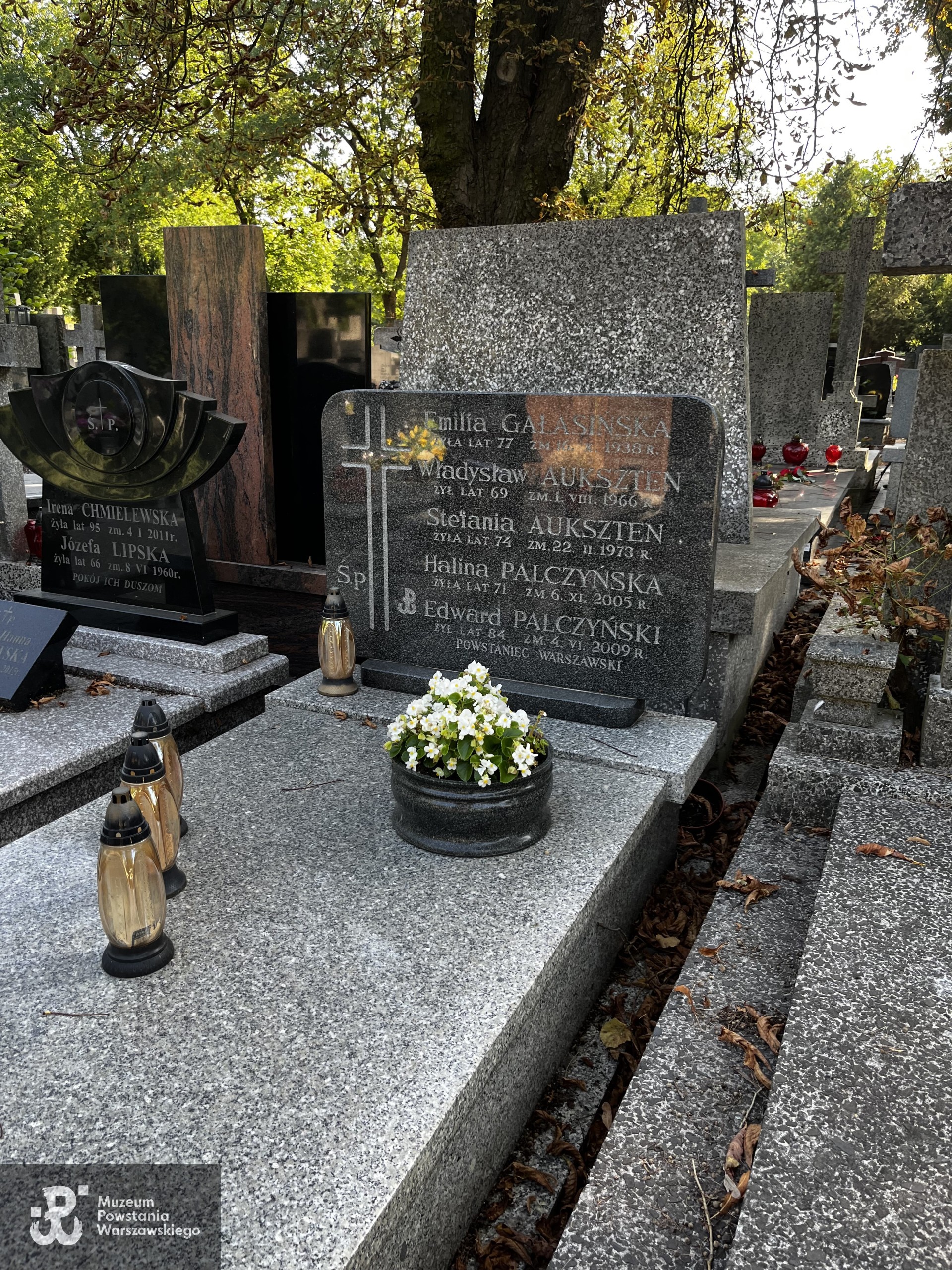 Źródło: Zespół Szkół nr 14 w Warszawie.