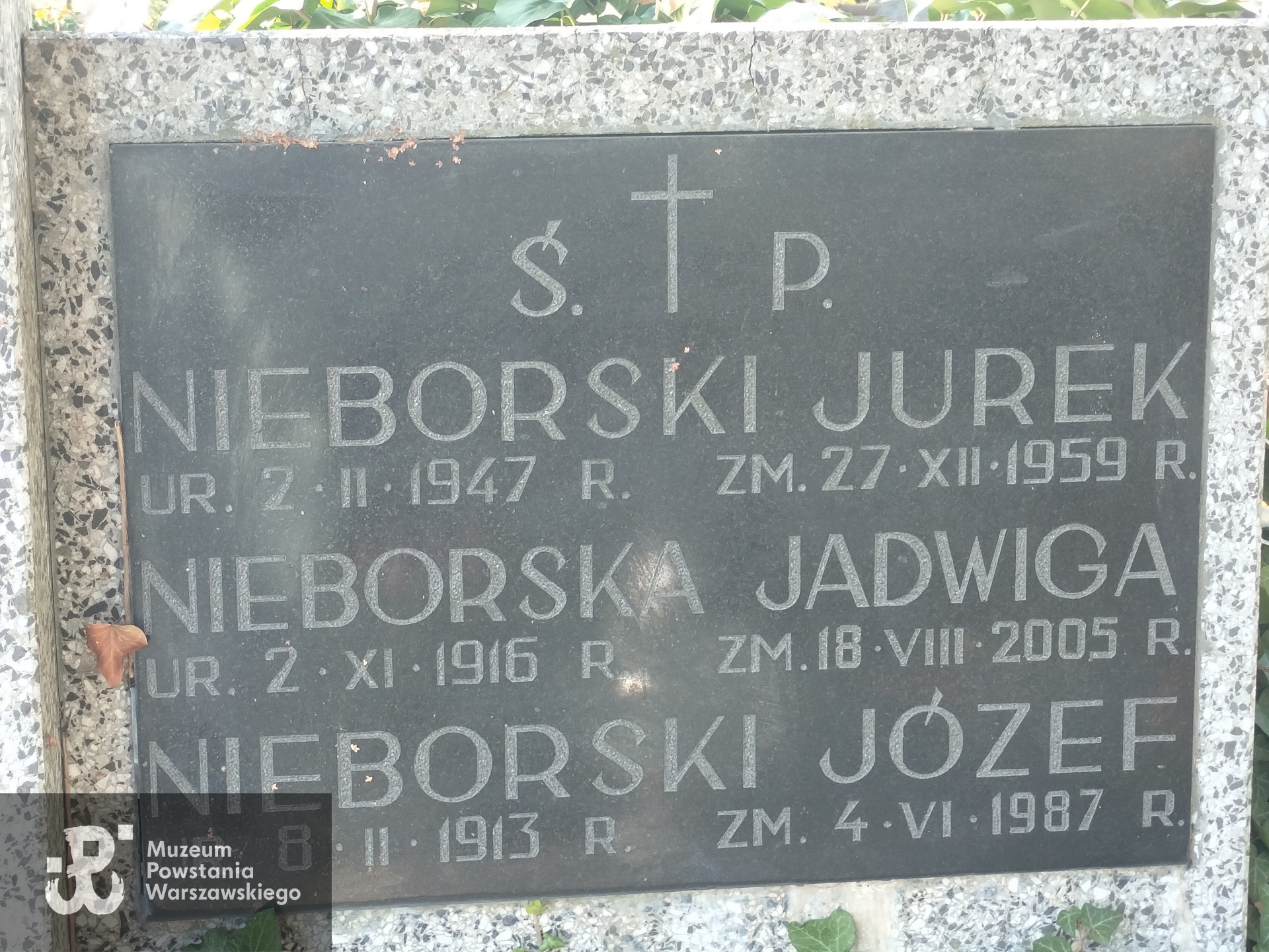 Źródło: Zespół Szkół nr 14 w Warszawie.