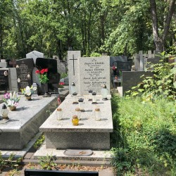 Źródło: Dorota Kotowska, Agnieszka Nowak.