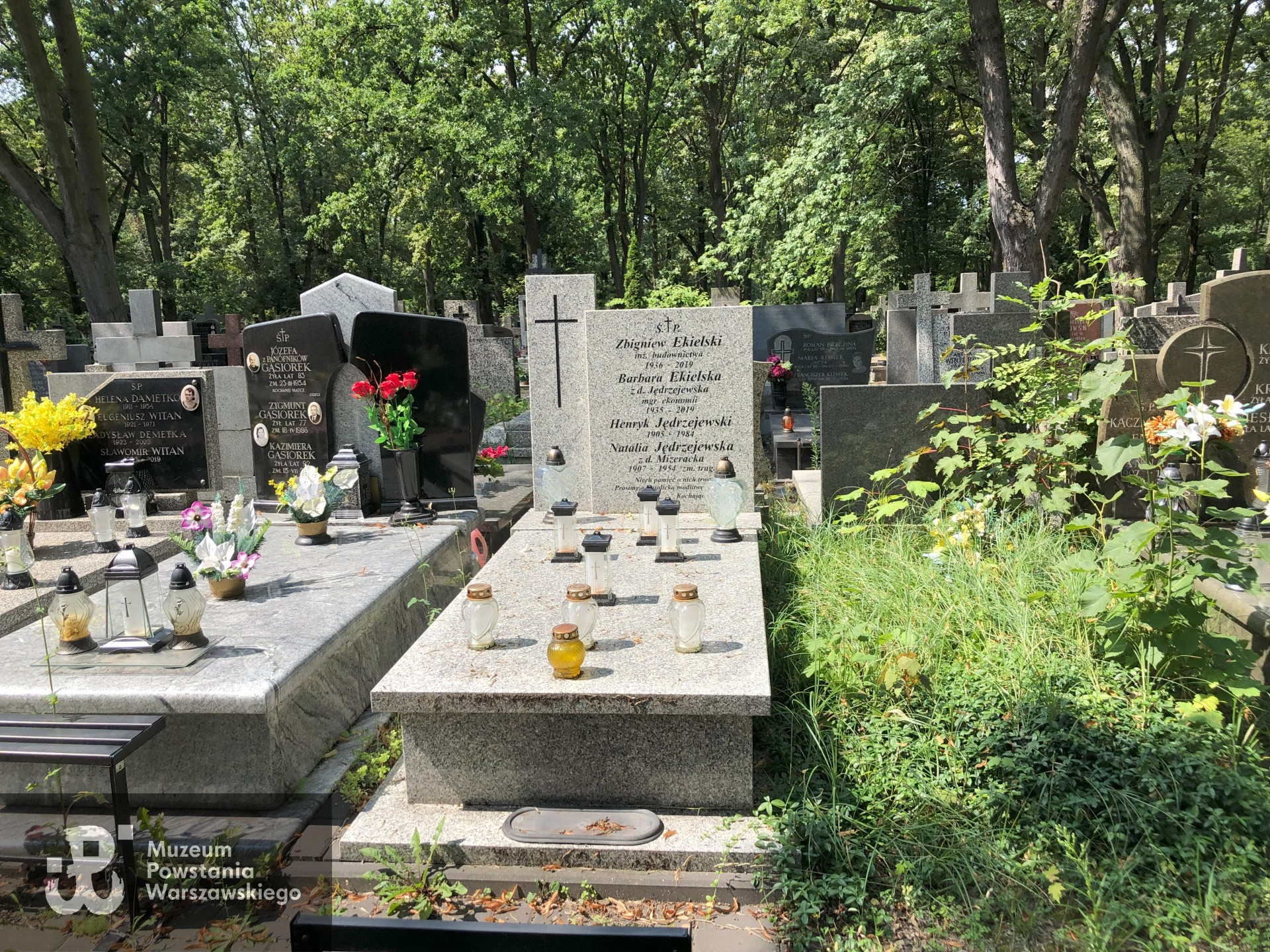 Źródło: Dorota Kotowska, Agnieszka Nowak.