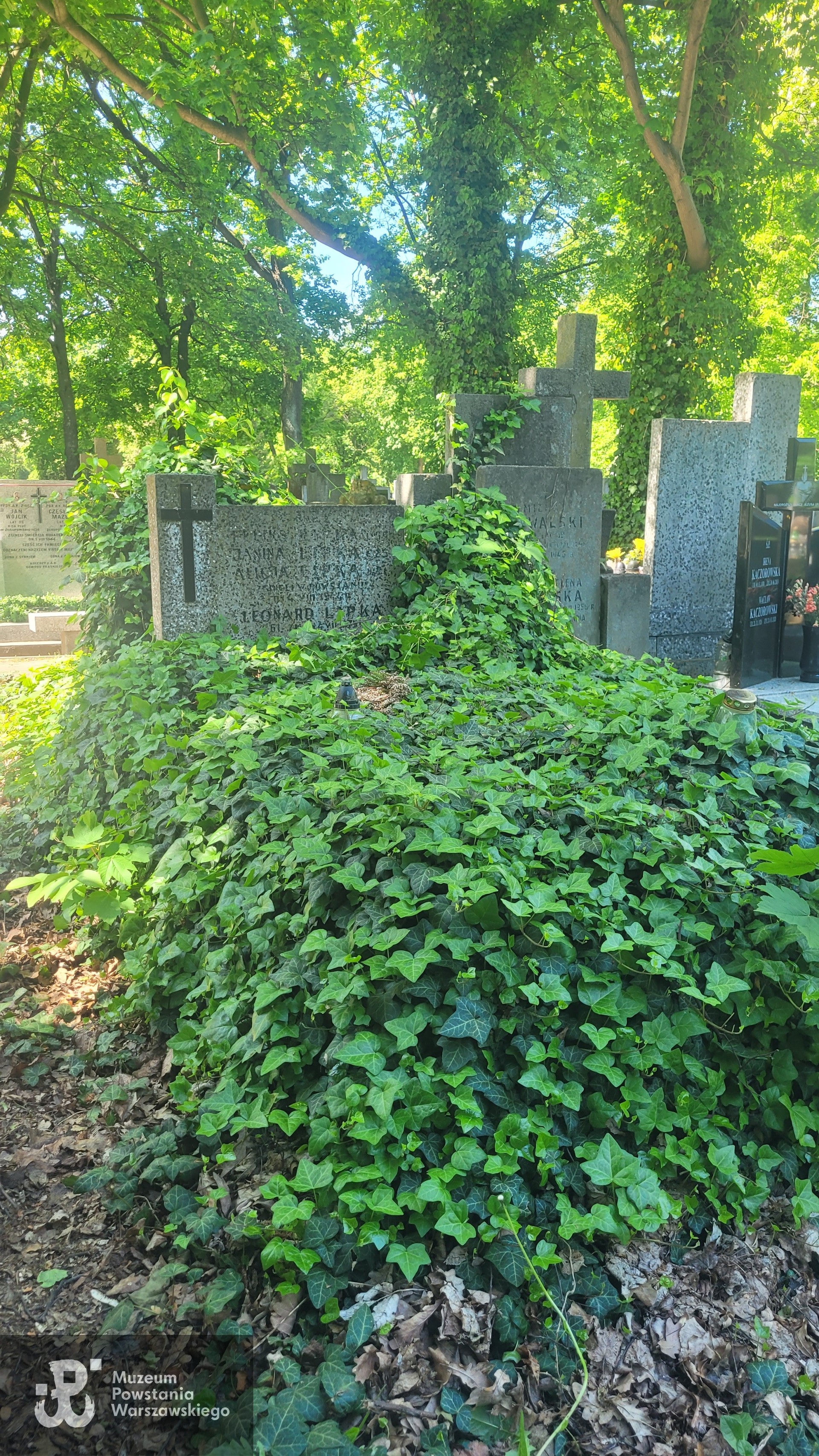 Źródło: VIII Liceum Ogólnokształcące im. Władysława IV w Warszawie.