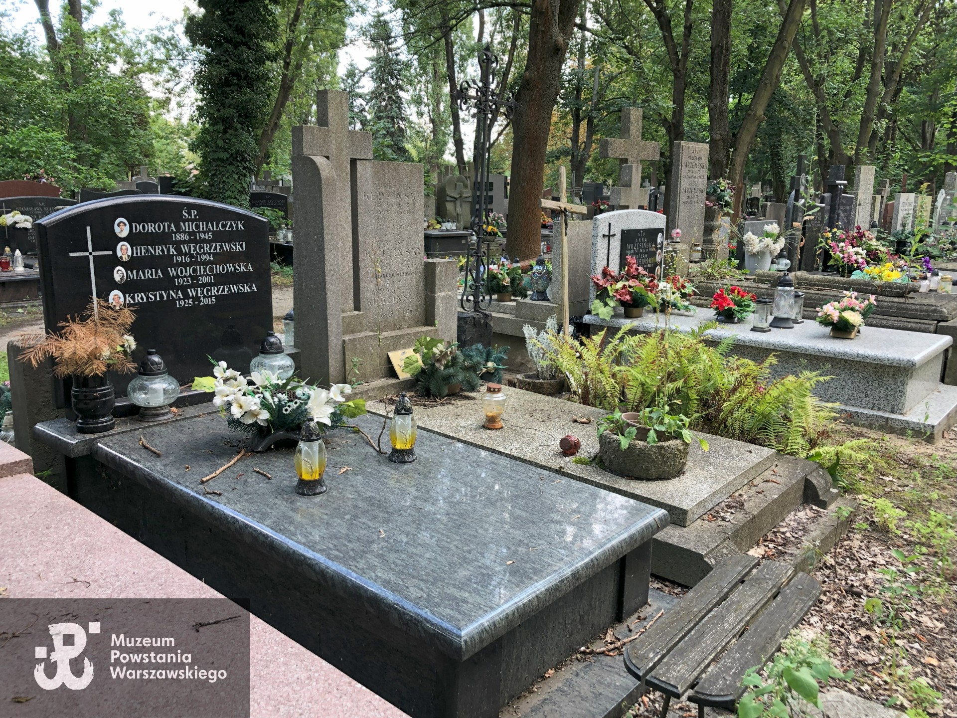 Źródło: Dorota Kotowska.