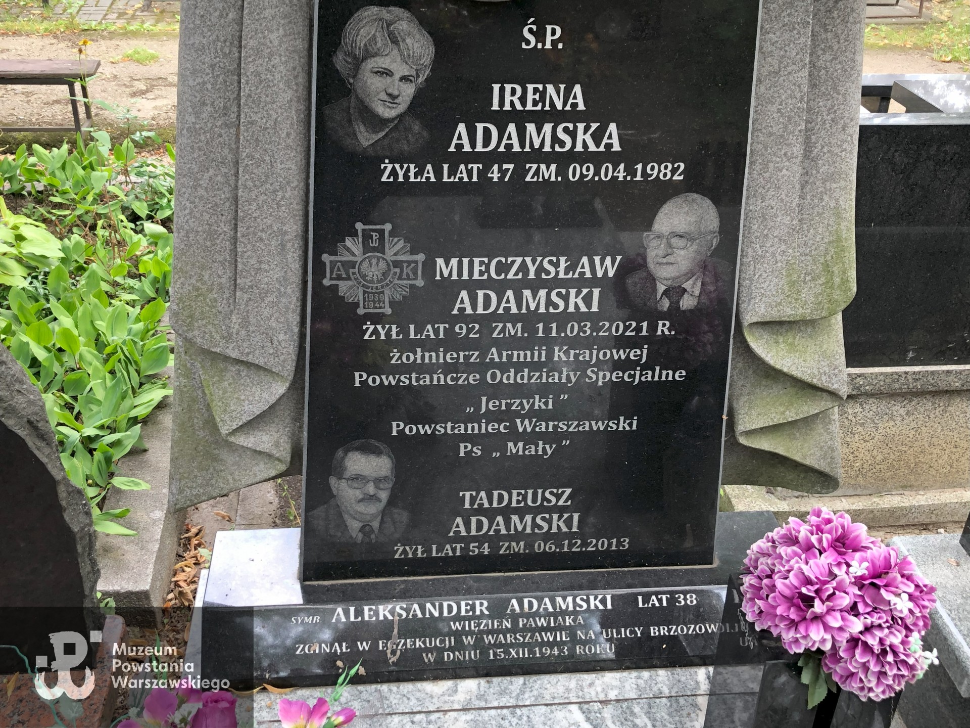 Źródło: Dorota Kotowska.