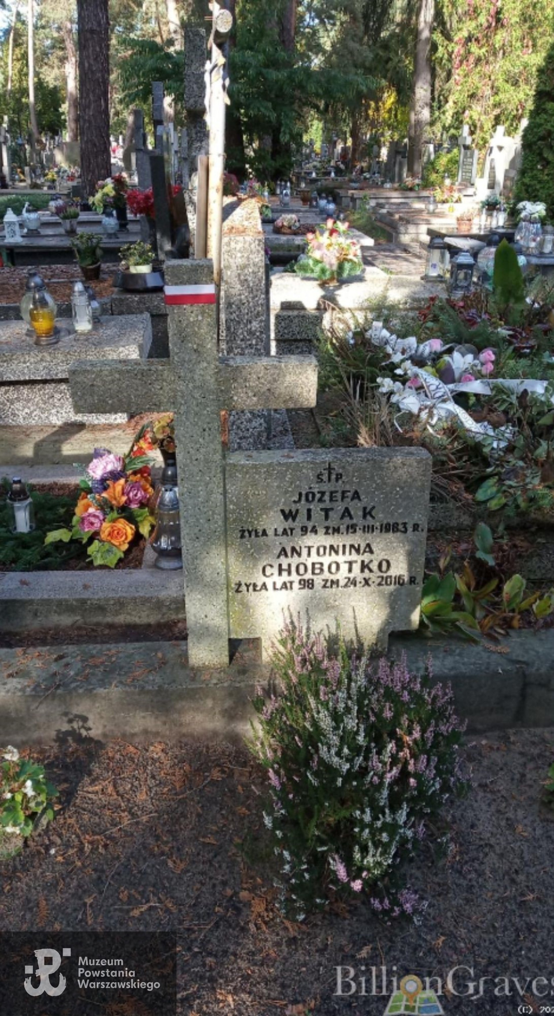 Źródło: https://billiongraves.com/grave/Antonina-Chobotko/40150639 [dostęp: 16.10.2025].