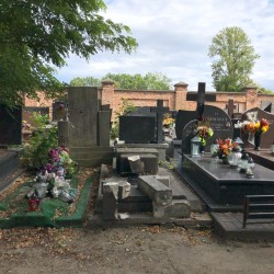 Źródło: Dorota Kotowska.