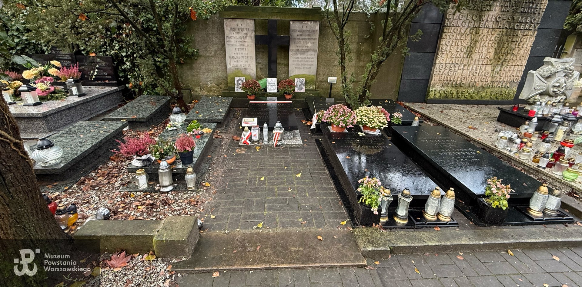 Źródło: Aneta Wyciszkiewicz.