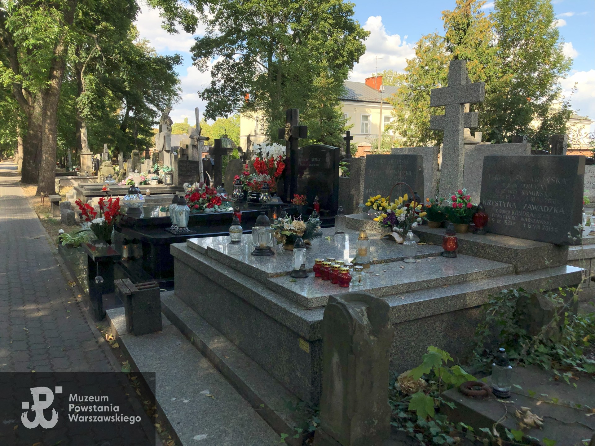 Źródło: Dorota Kotowska.