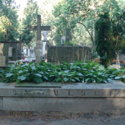 Źródło: https://cmentarze.um.warszawa.pl/pomnik.aspx?pom_id=42141 [dostęp: 14.11.2025].